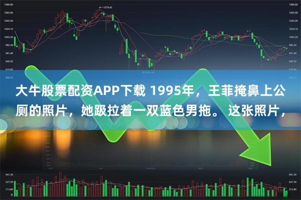 大牛股票配资APP下载 1995年，王菲掩鼻上公厕的照片，她趿拉着一双蓝色男拖。 这张照片，